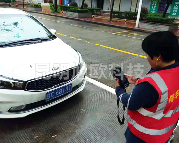 雙柏鄂嘉鎮(zhèn)路邊停車(chē)收費(fèi)系統(tǒng)