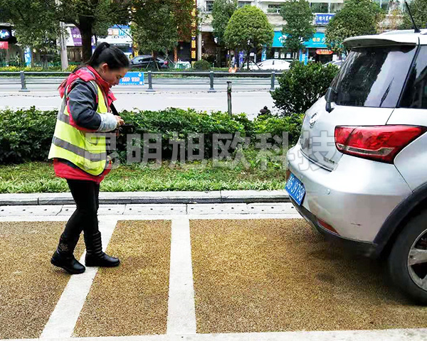 貴州安順市路邊停車(chē)收費(fèi)系統(tǒng)